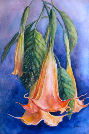 Angel Trumpets