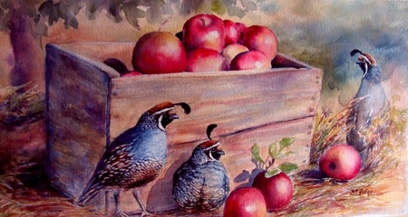 Apple Harvest