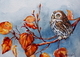 Autumn Gold Pygmy Owl