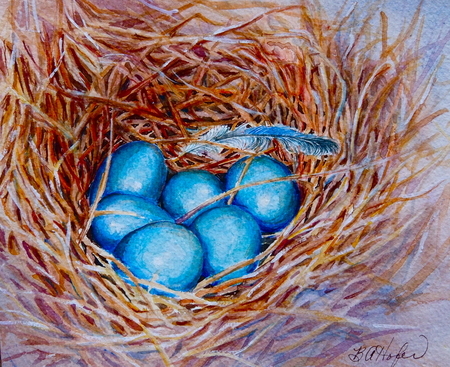 Bluebird Nest