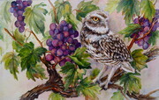 Burrowing Owl in the Vineyard