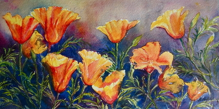 California Poppies- Glorious Gold