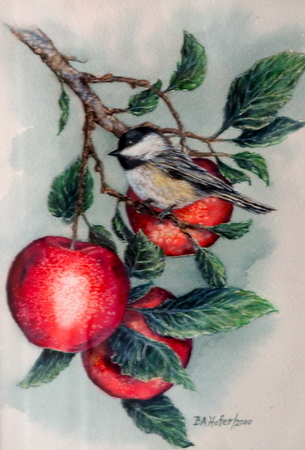 Chickadee and Apples