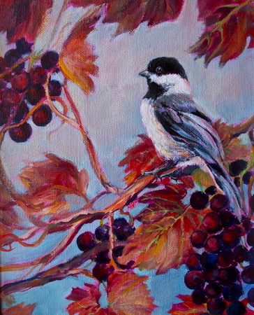 Chickadee on Grape Vine