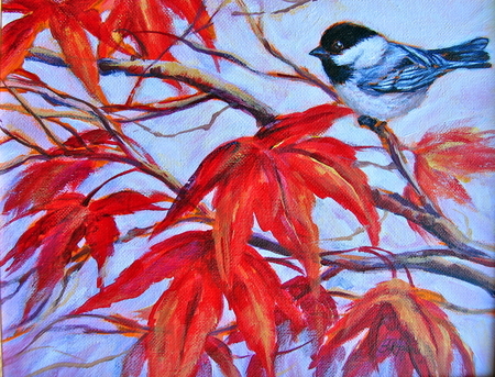 Chickadee on Maple