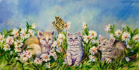 Daisies And Kittens