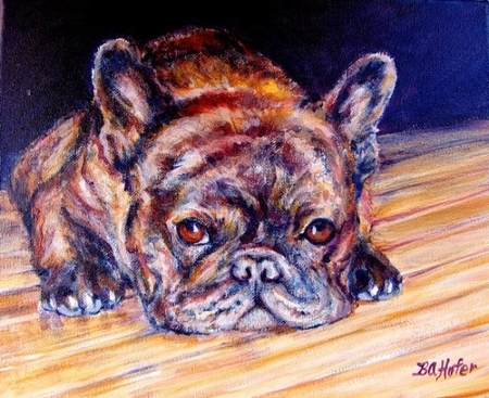 French Bulldog