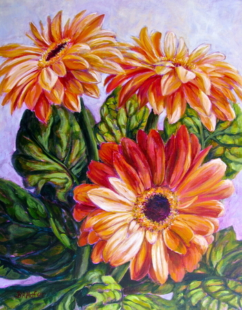 Gerbera Daisies