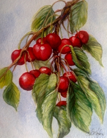 Okanagan Cherries