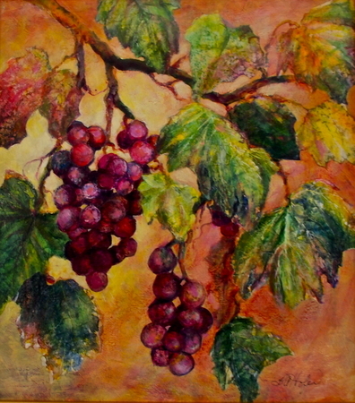 Sundrenched Grapes