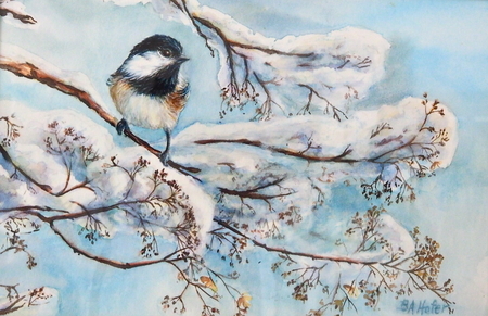 Winter Chickadee